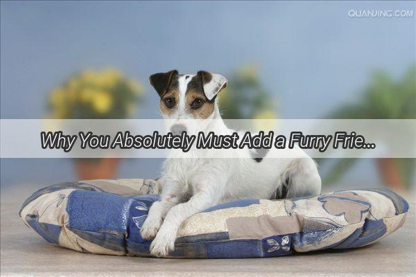 Why You Absolutely Must Add a Furry Friend to Your Life